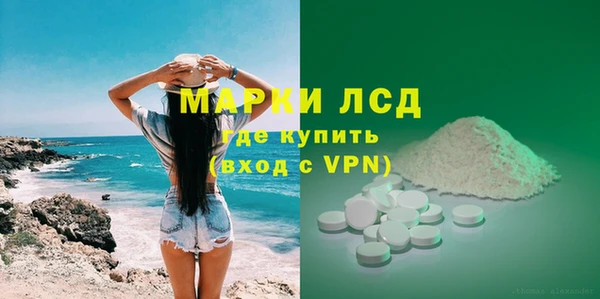 apvp Гусев