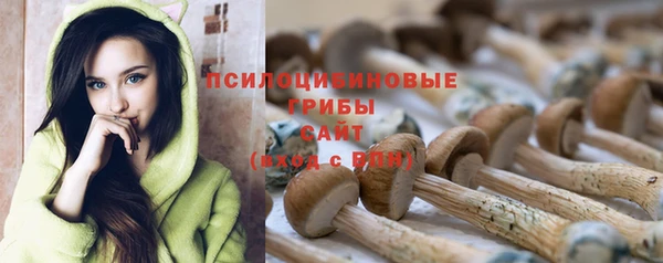 твердый Дмитров