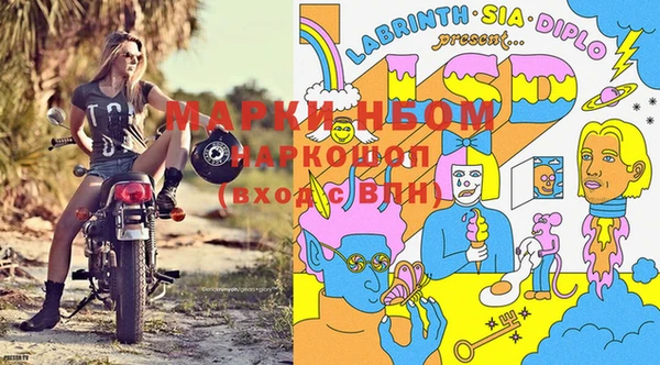твердый Дмитров