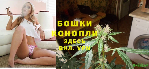 ешки Дмитриев