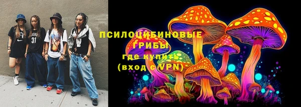 твердый Дмитров